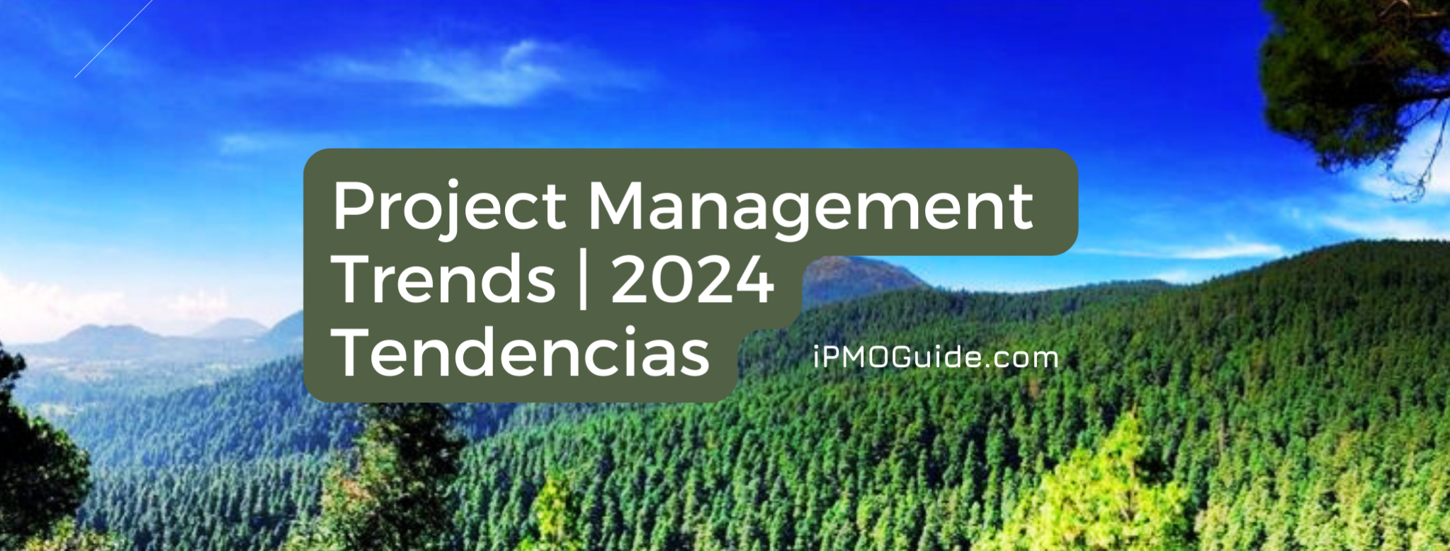 Projecting Trend Project Management Trends, 2024, Tendencias - iPMOGuide