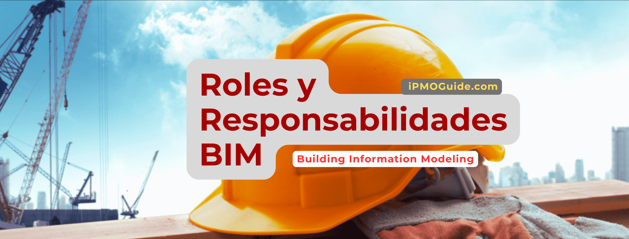 Roles y Responsabilidades en BIM - iPMOGuide